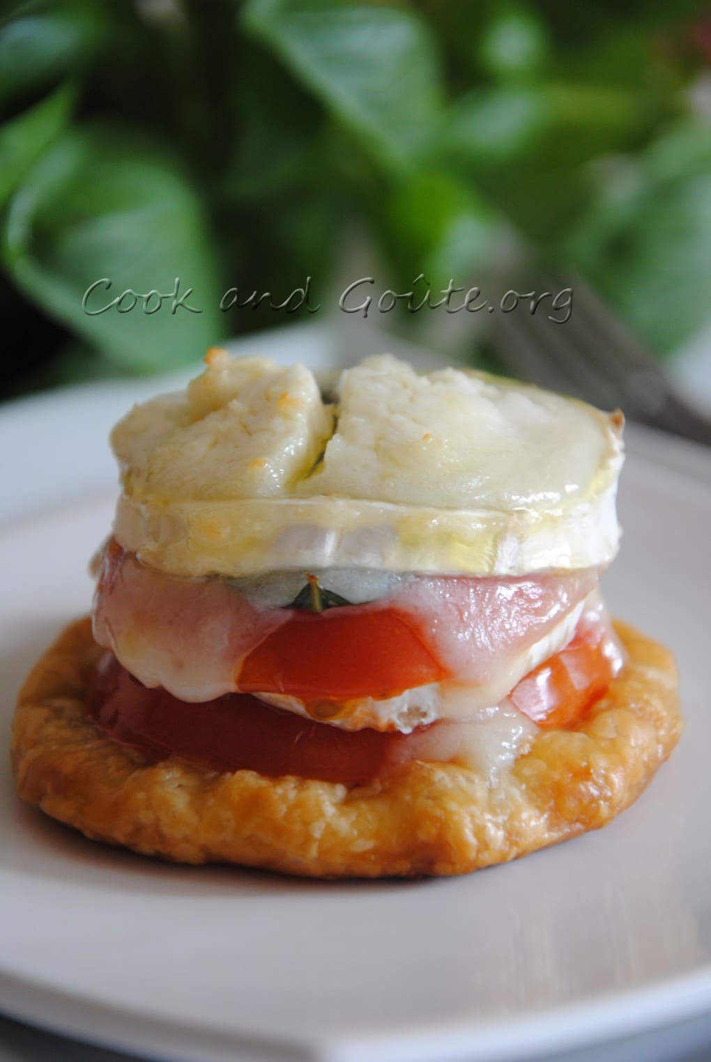 Feuilletés aux tomates