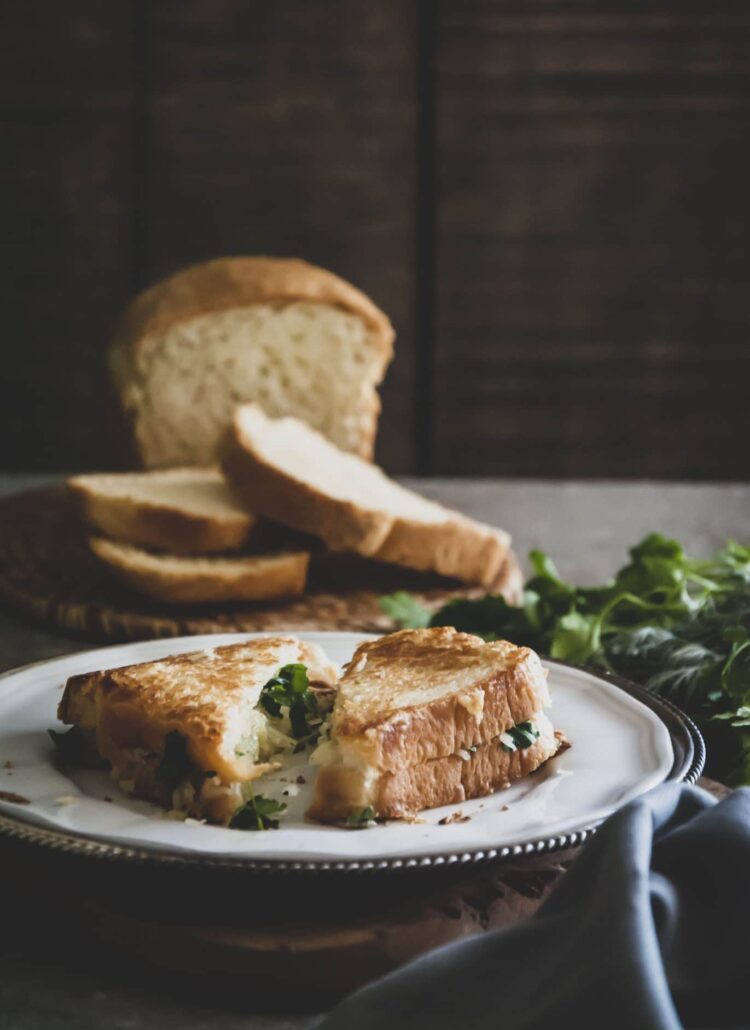 Sandwich ultra rapide au fromage, persil et coriandre