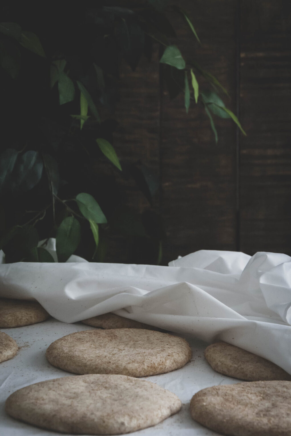pain avant cuisson