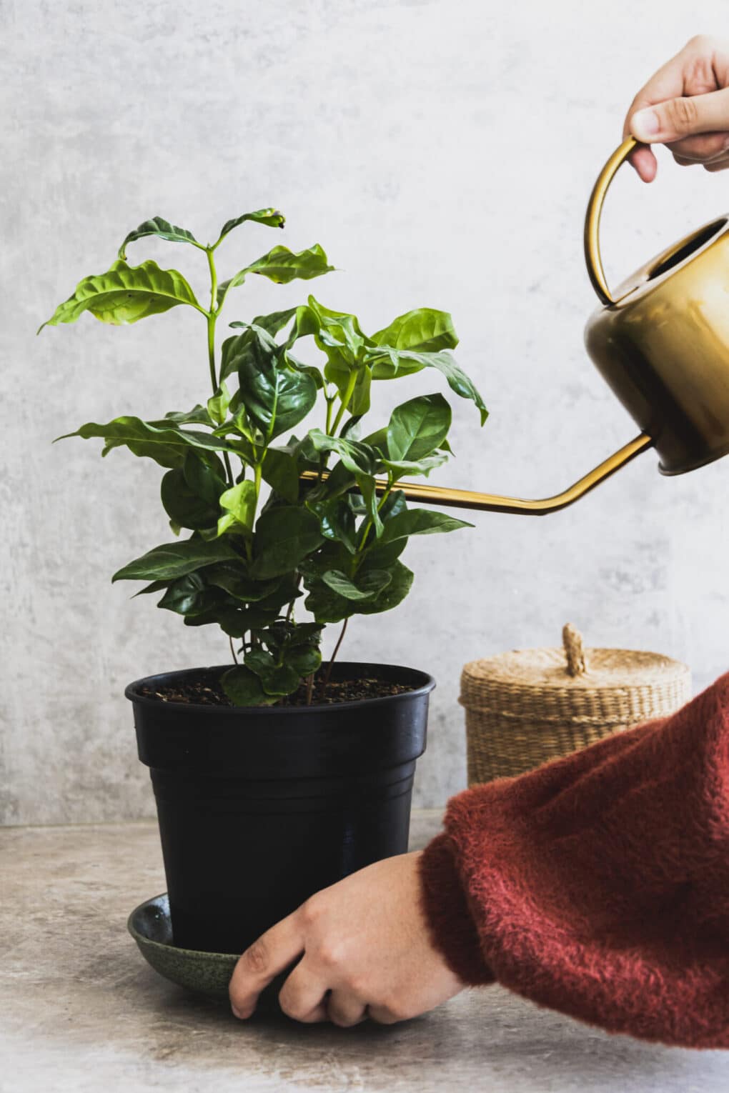 idées de slow living