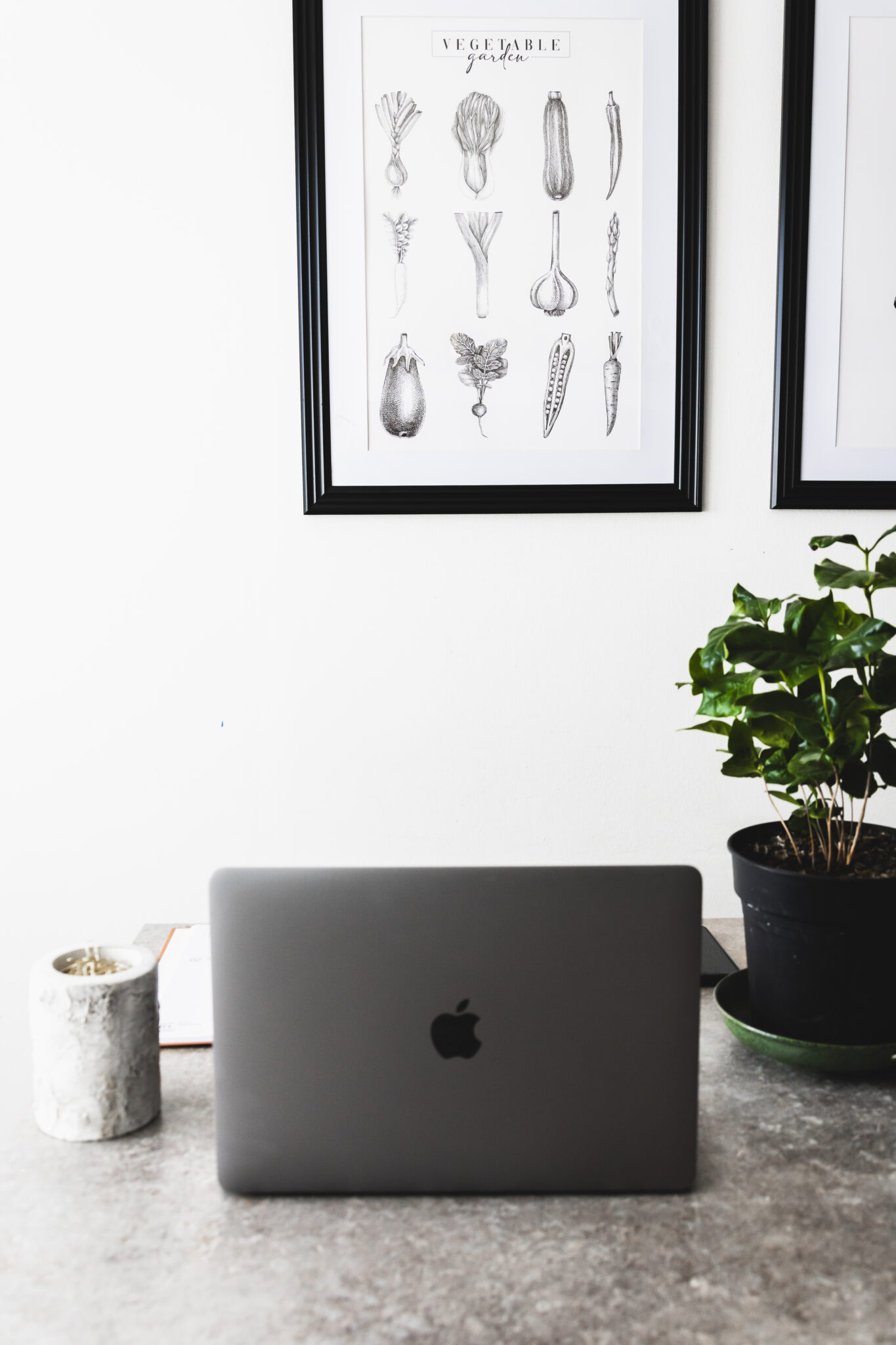 Meilleures applications pour gérer un blog en 2024
